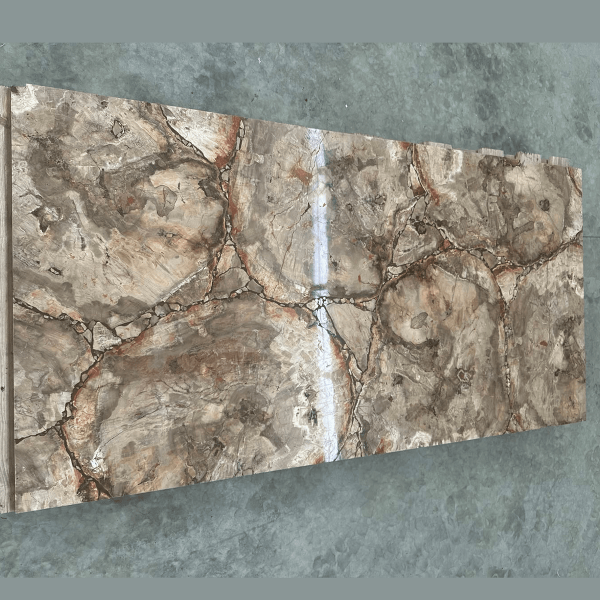 Petrified Wood — Block A